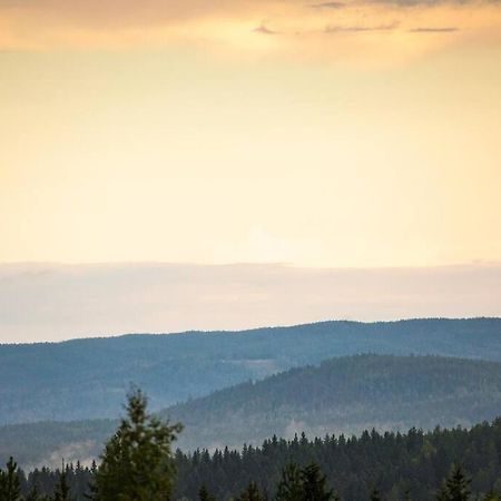 Langroesta; Ruime Blokhut Grenzend Aan Bos Villa Hagfors Exterior foto