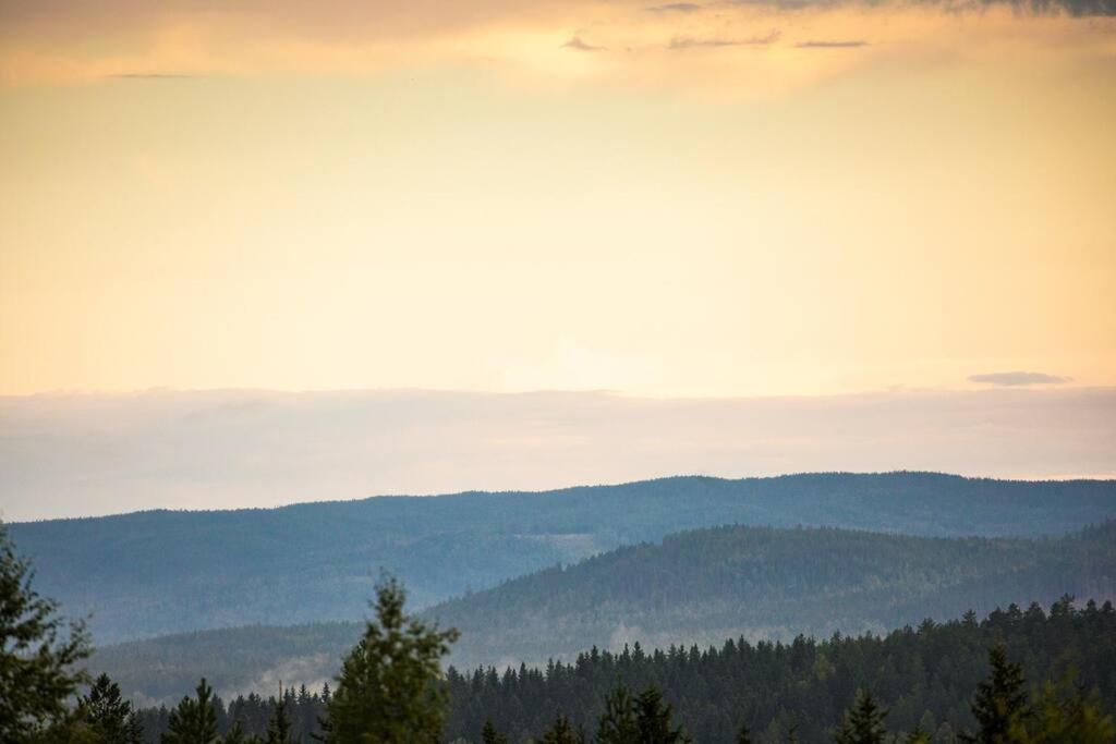 Langroesta; Ruime Blokhut Grenzend Aan Bos Villa Hagfors Exterior foto