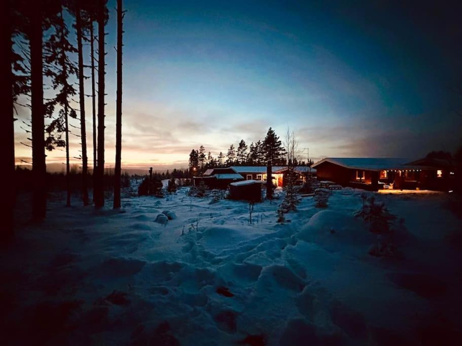 Langroesta; Ruime Blokhut Grenzend Aan Bos Villa Hagfors Exterior foto