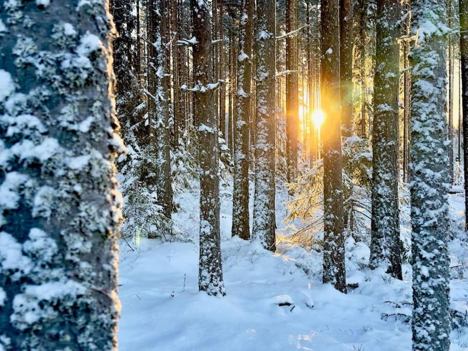 Langroesta; Ruime Blokhut Grenzend Aan Bos Villa Hagfors Exterior foto